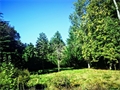 Terrain à bâtir à la vente